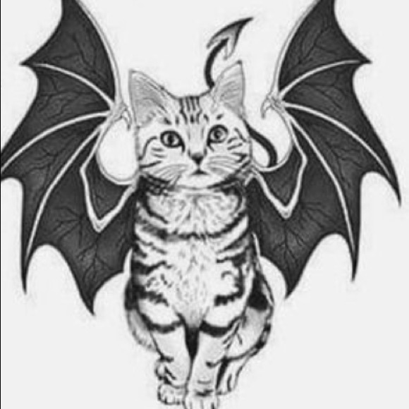 Meet your Posher, Zachary - Picture 1 of 1